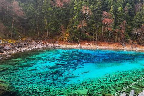 四川旅遊有什麼特產，不妨細數其豐富的文化與歷史